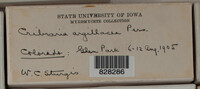 Image Associated With the Occurence